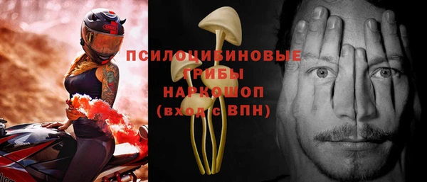 амф Карпинск