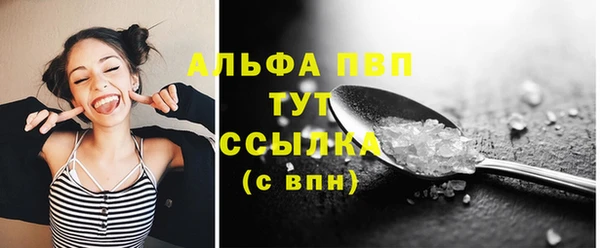 индика Карталы
