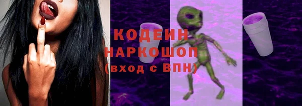 хмурый Касимов