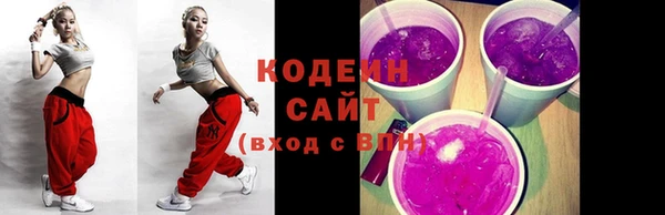 индика Карталы