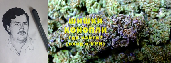 амф Карпинск