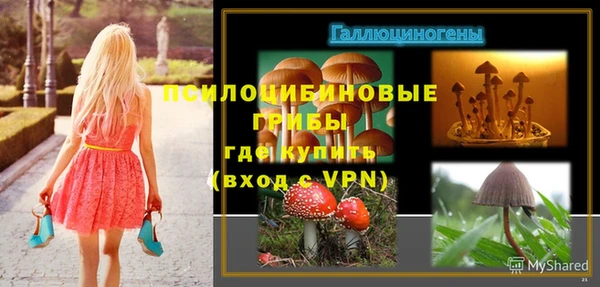 индика Карталы