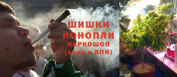 хмурый Касимов