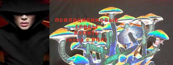 амф Карпинск