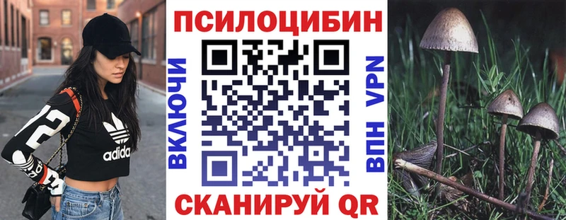 Галлюциногенные грибы Psilocybine cubensis  Купить  Павловск 